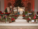 georg1 20260101