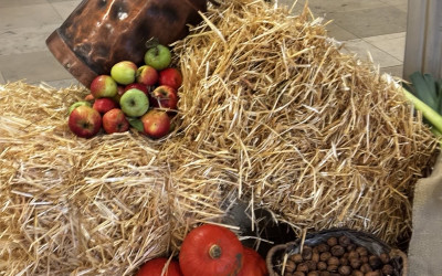 Erntedankschmuck in unseren Kirchen