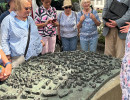 img 5905 20260704