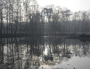 morgenspaziergang 1885 20260214